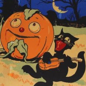 Meet your Posher, Kaia